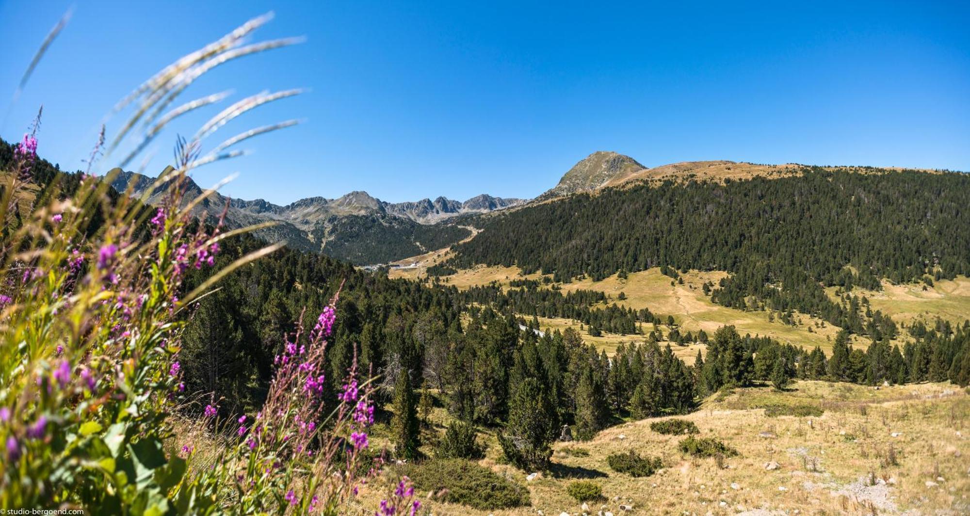 Pierre & Vacances Andorra Bordes D'Envalira Dış mekan fotoğraf